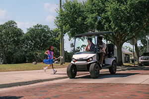 liberty lsv lake erie golf cars