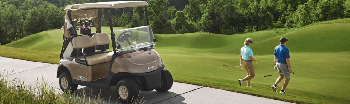 lake erie golf carts